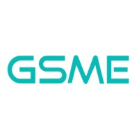 GS Microelectronics logo