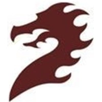 Dragon Recycling Solutions Limited logo