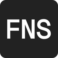 Financial News Systems logo