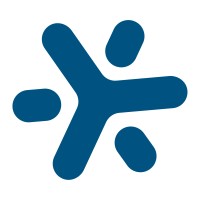 BrainChip Holdings Ltd. logo