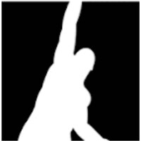 Mixed Martial Arts Group logo