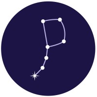 Polaris Genomics logo