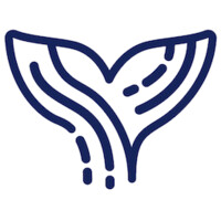 Orca AI Ltd. logo