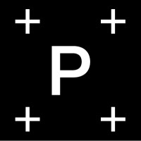 Precise logo